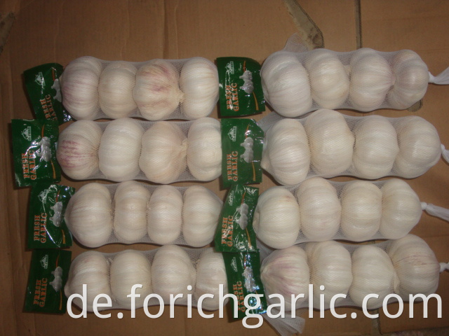 Normal White Garlic